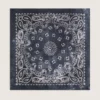 Écharpe gris anthracite à imprimé paisley