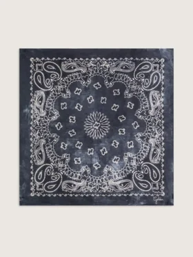 Écharpe gris anthracite à imprimé paisley