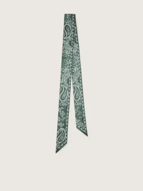 Lot de deux rubans en sergé à motif paisley vert