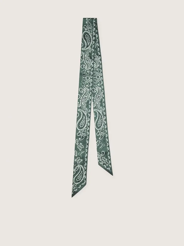 Lot de deux rubans en sergé à motif paisley vert