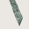 Lot de deux rubans en sergé à motif paisley vert