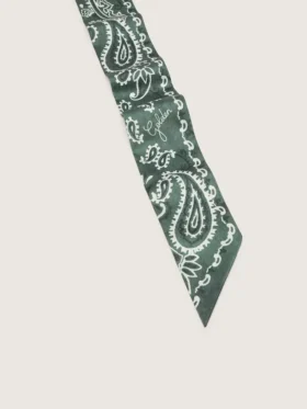Lot de deux rubans en sergé à motif paisley vert