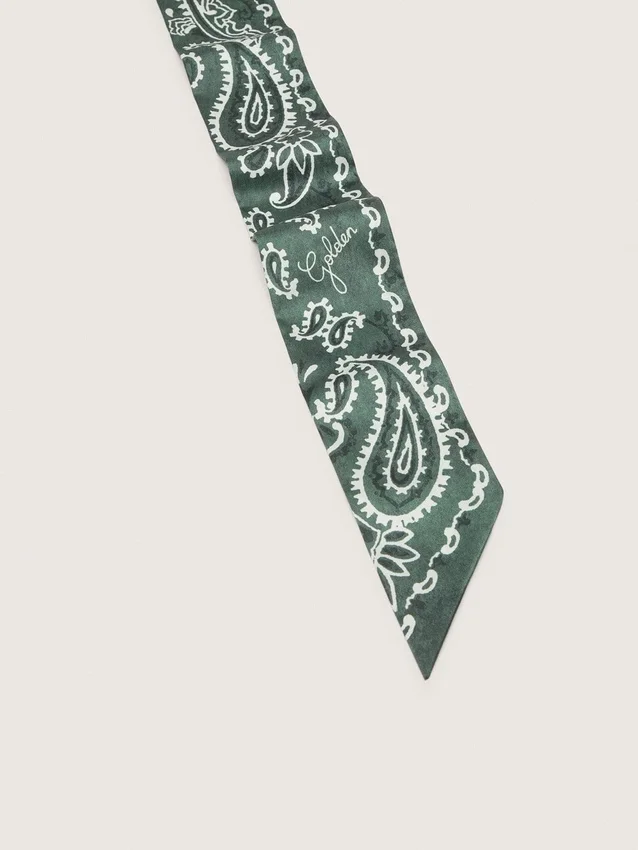 Lot de deux rubans en sergé à motif paisley vert