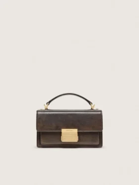 Petit sac Venezia en cuir marron foncé avec boucle dorée