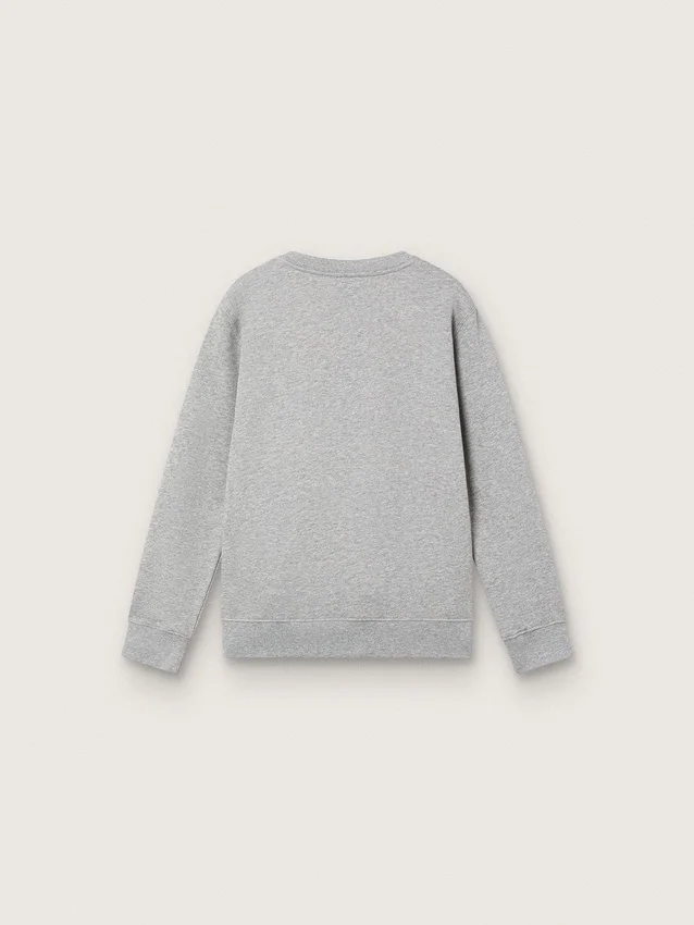 Sweat-shirt à col rond Journey pour garçons en coton gris chiné avec imprimé mascotte